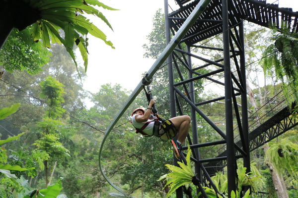 Zipline и верёвочный парк Микли